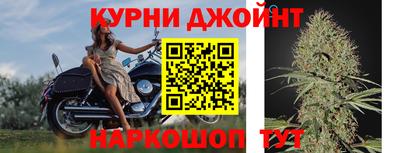 индика Белореченск