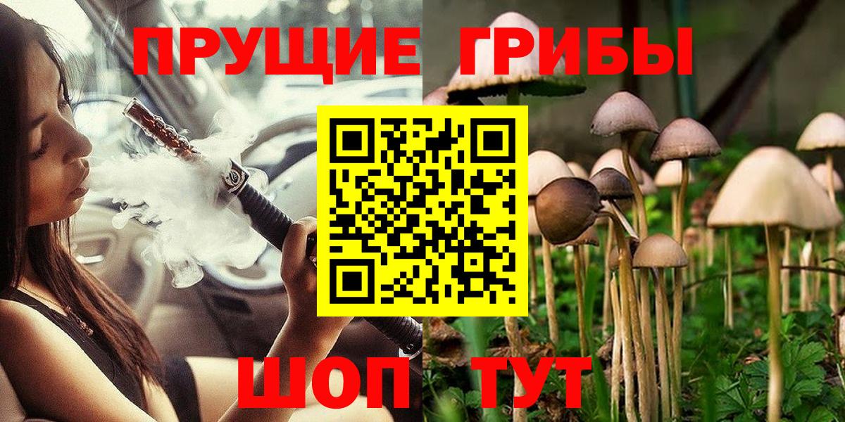 Губкинский  Псилоцибиновые грибы MAGIC MUSHROOMS  Вход с VPN 