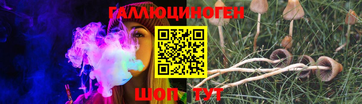 Галлюциногенные грибы MAGIC MUSHROOMS Губкинский